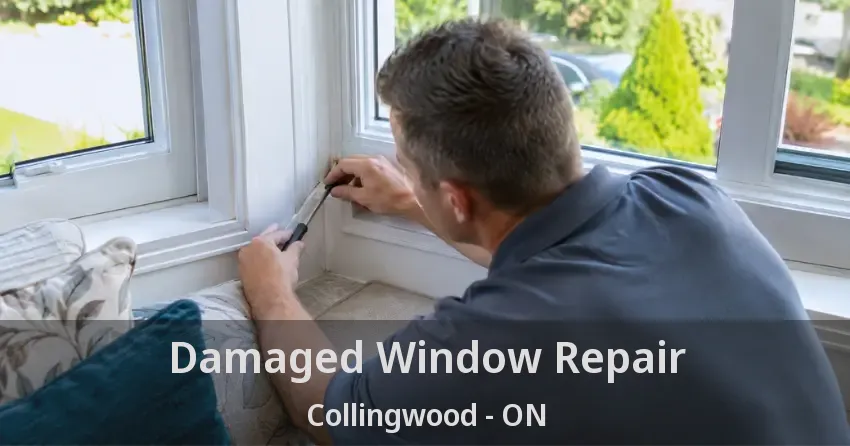 Damaged Window Repair Collingwood - ON