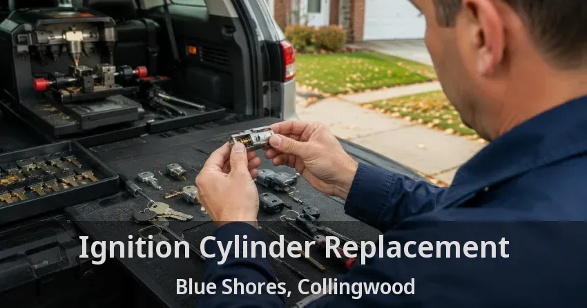 Ignition Cylinder Replacement Blue Shores, Collingwood - ON