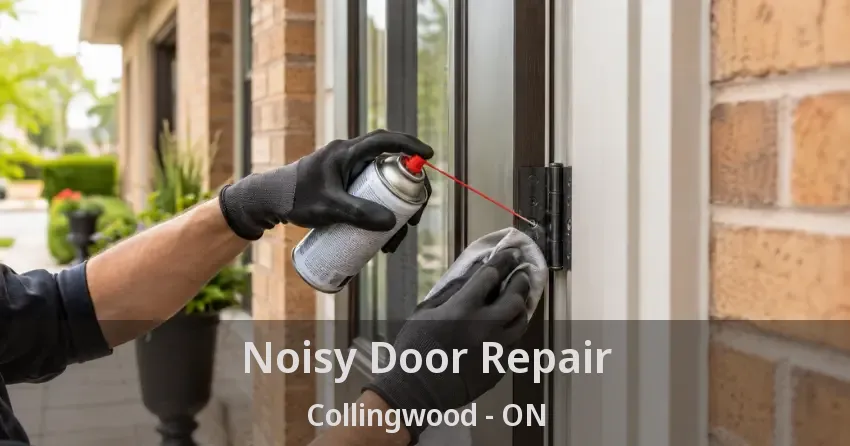 Noisy Door Repair Collingwood - ON