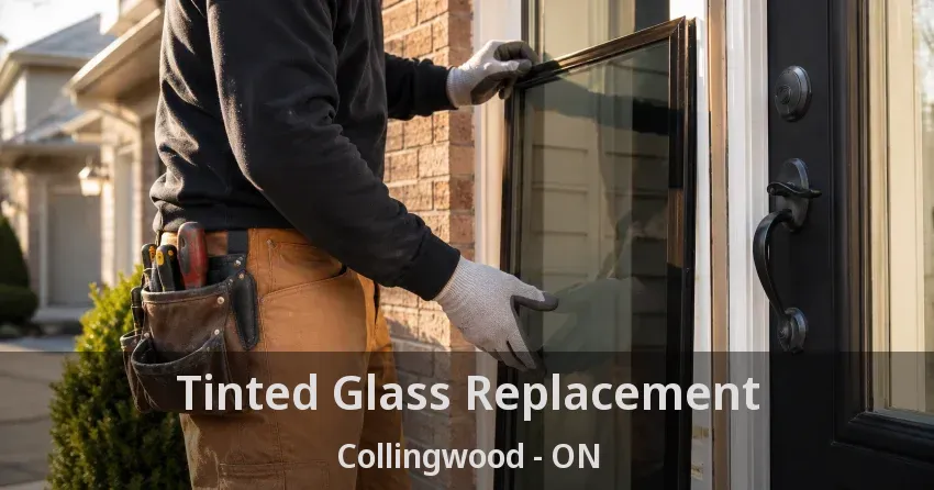Tinted Glass Replacement Collingwood - ON