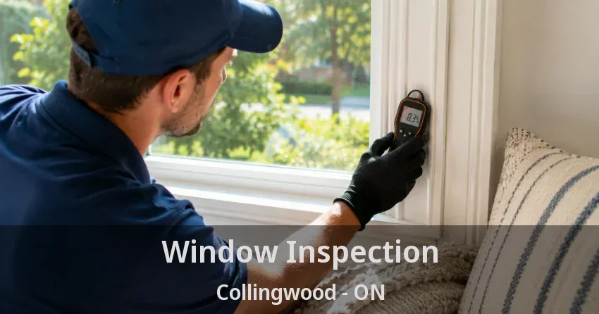 Window Inspection Collingwood - ON