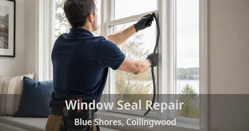 Window Seal Repair Blue Shores, Collingwood - ON